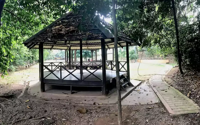 KL Forest Eco Park: Real Rainforest