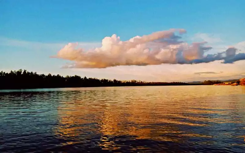 Proboscis Monkey and Fireflies River Cruise