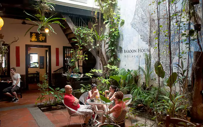 The Baboon House