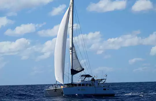 Catana LB 44